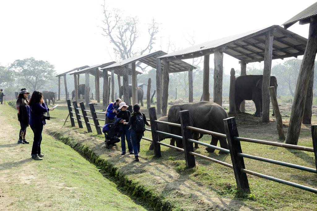 กรีนพาร์ค รีสอร์ท ชิตวัน โซราฮา ภายนอก รูปภาพ